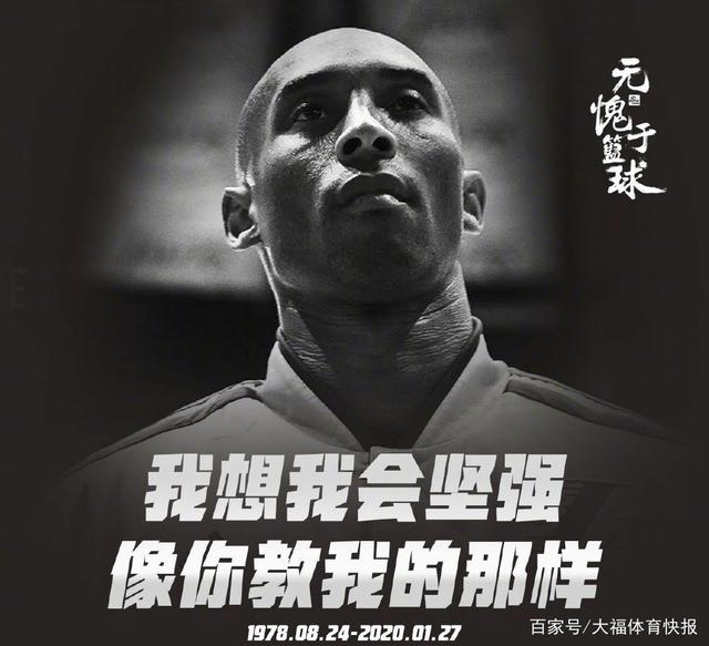 阵容 阵容